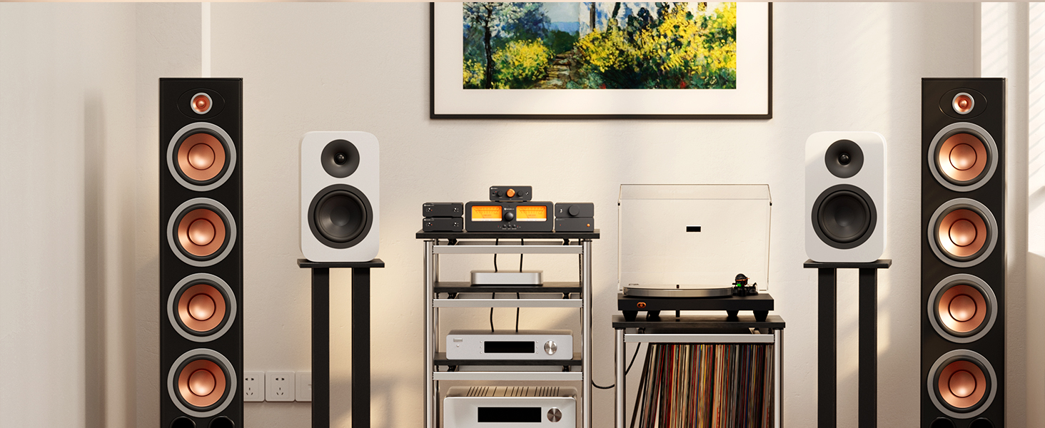 Ana Sayfa Ses Preamp Masaüstü Ses Kurulumu Hi-Fi Sistemi Preamp