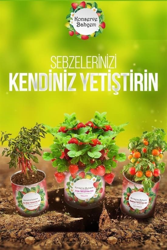 Kullanım Görseli
