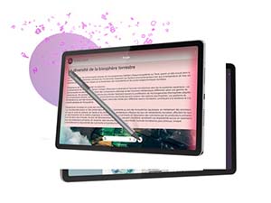 prapazar.com pazaryeri hepsiburada entegrasyonu