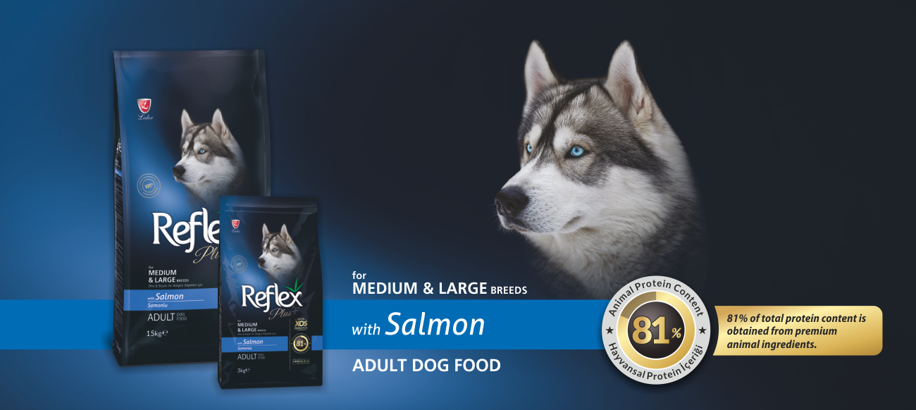 Reflex Plus Somonlu Yetişkin Köpek Maması