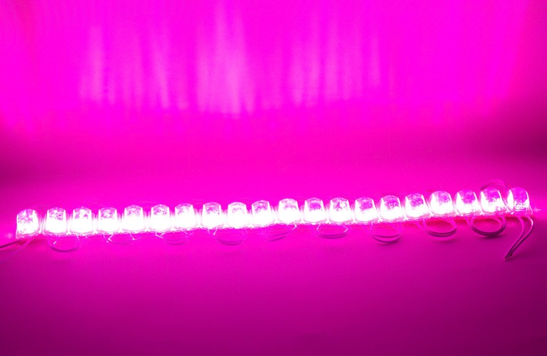 Powermaster 12 Volt 1.5 Watt Pembe 2835 85 X 73 Mm IP65 240 – 260 Lümen 180 Derece Modül Led