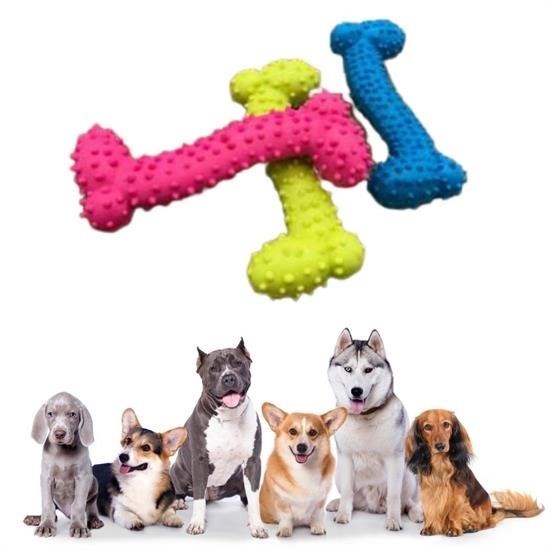 ANKAVERSE Tiny Kemik Oyuncağı