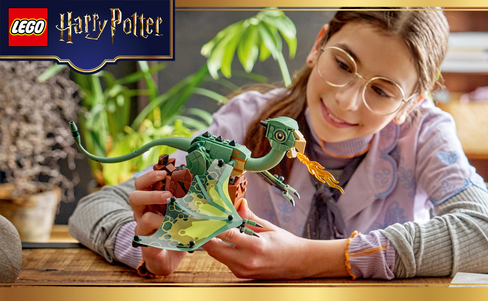 Büyülü Harry Potter ürünleri