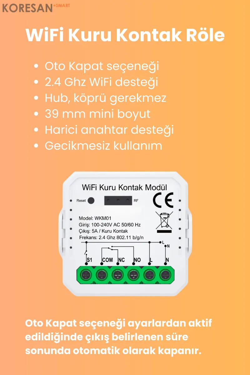 WiFi Kuru Kontak Röle
