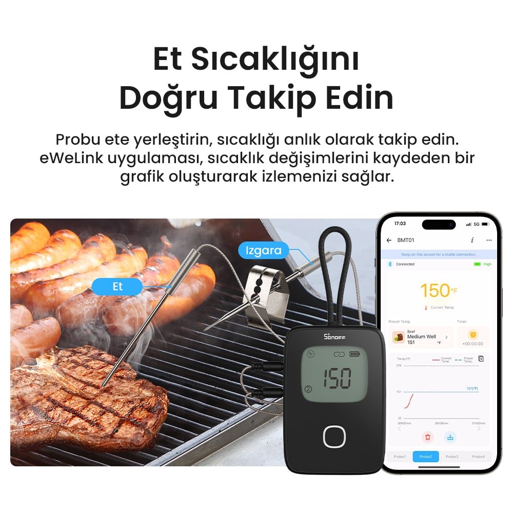 Sonoff Akıllı BBQ Et Termometresi