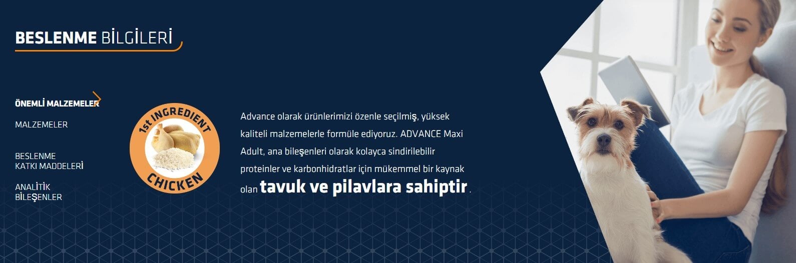 Advance Adult Maxi Tavuklu Büyük Irk Yetişkin Köpek Maması 