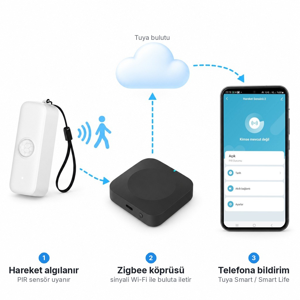 ZHS-02 çalışma akışı, sensörden Zigbee köprüsüne, buluta ve telefona bildirim