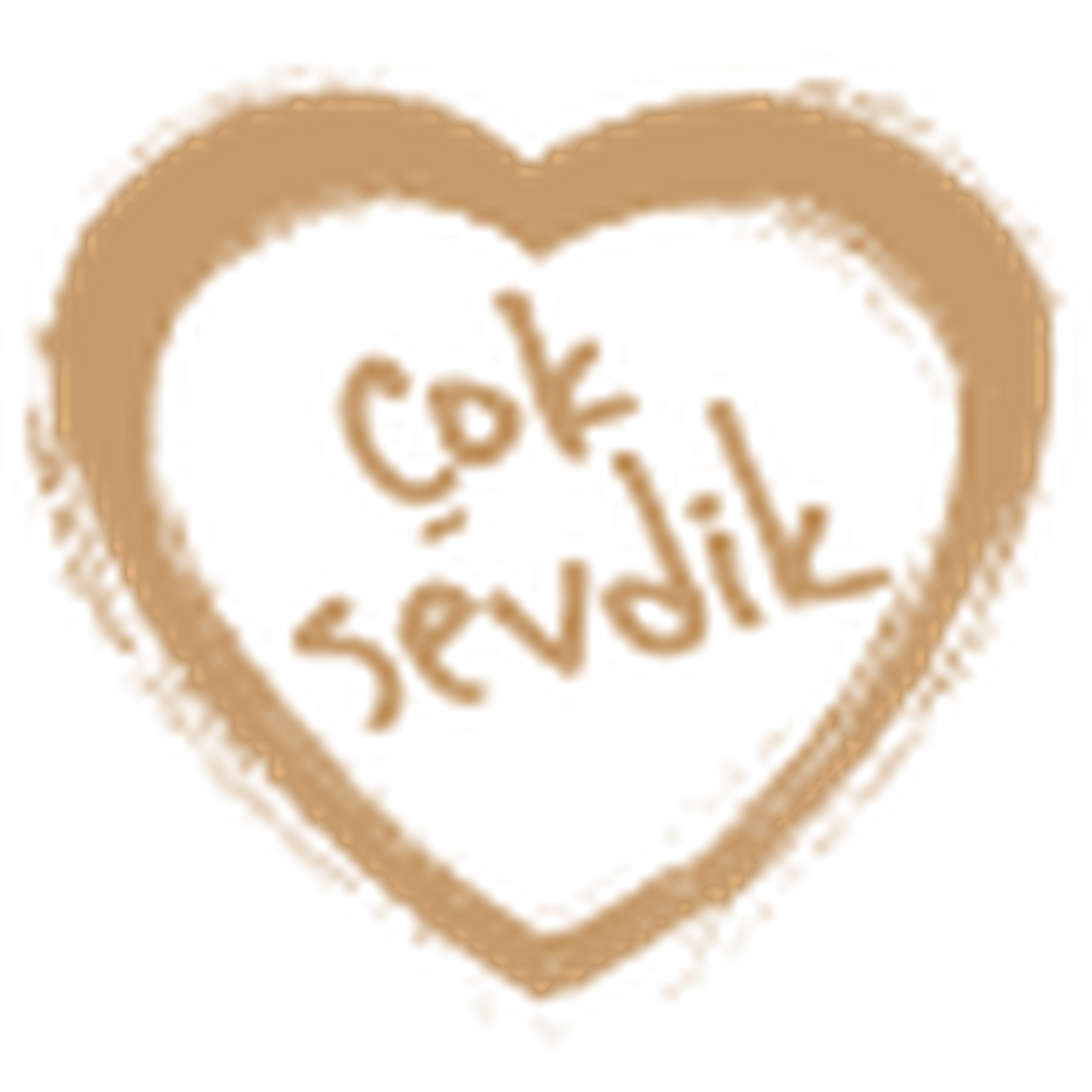 Çok Sevdik