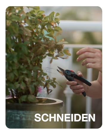 Metin "SCHNEIDEN" şeklindedir. Bitkilerin elle kesildiği veya budandığı yakın çekimde bahçe resimleri, ağırlık noktası hassas kesim hareketlerine odaklanır.