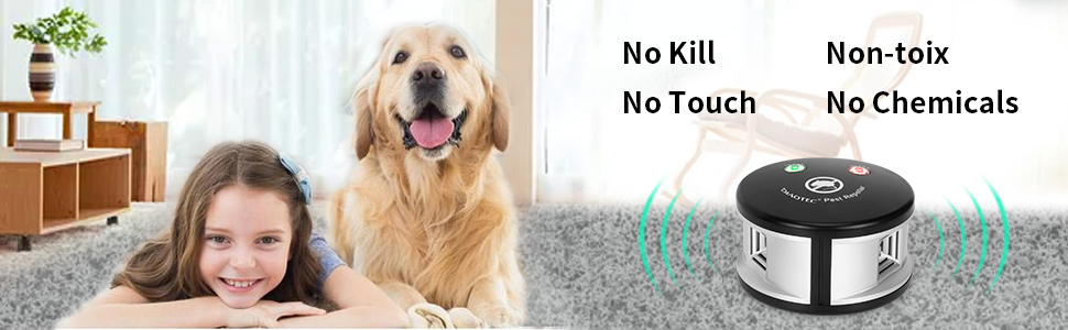 squirrel repellent outdoor