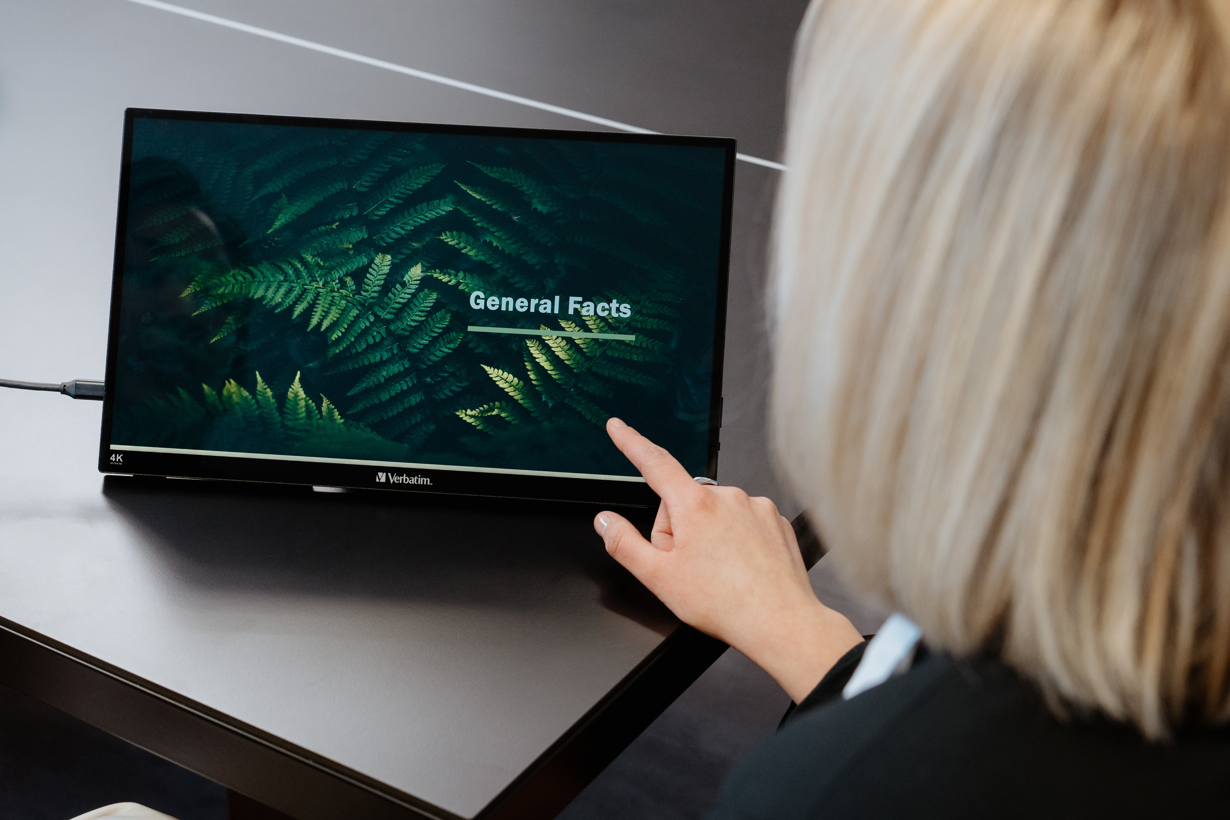 Portable Touchscreen Monitor 15.6