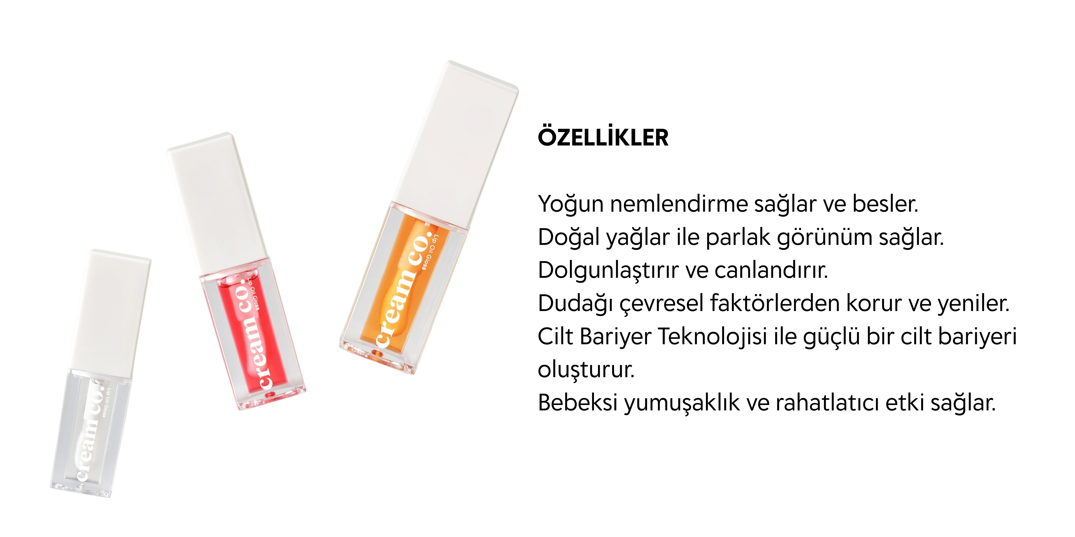 ResimLink - Resim Yükle