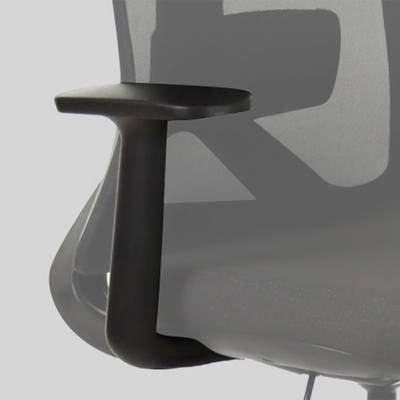 Benin Sabit Kol Yönetici Koltuğu