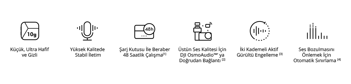 Mic Mini