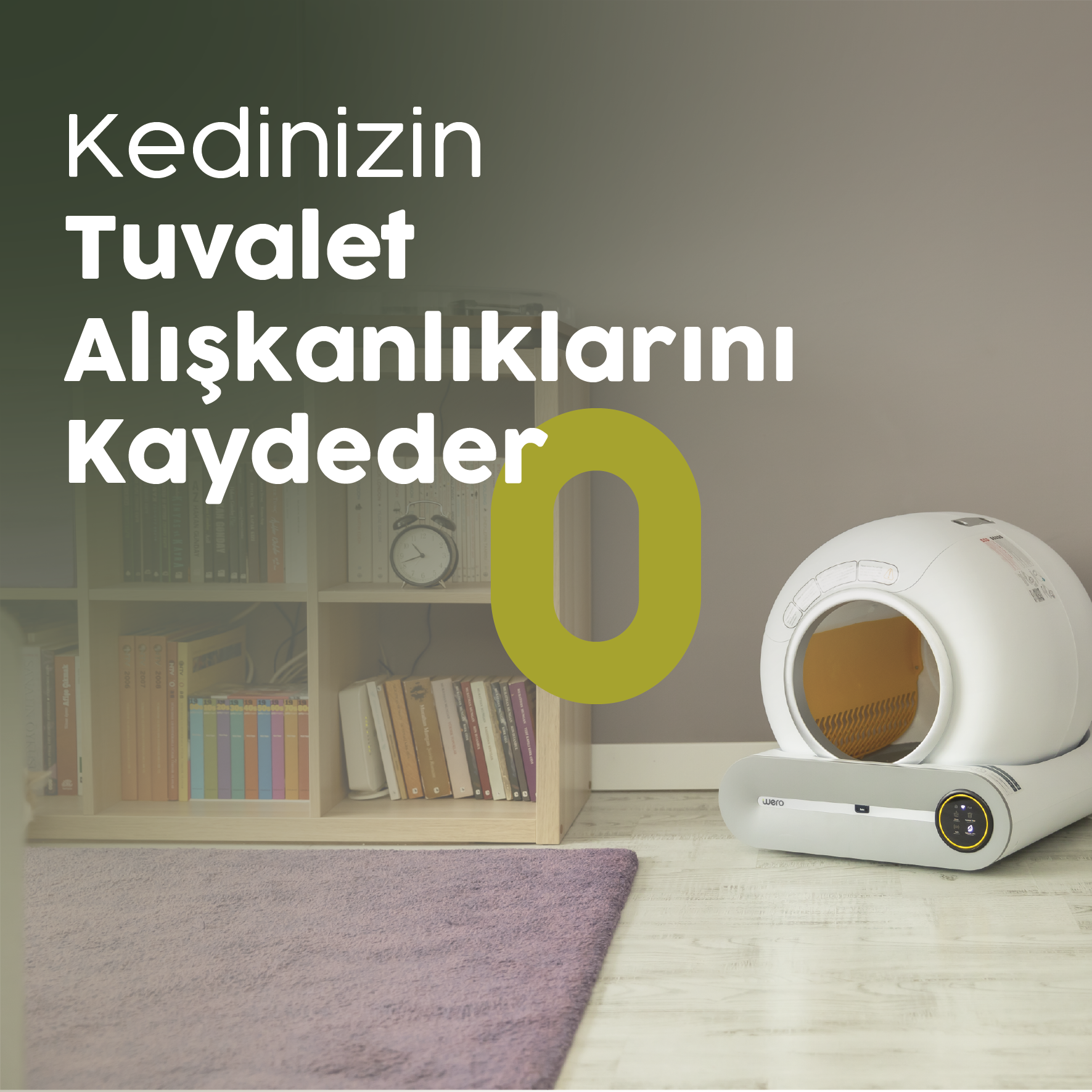 Kedi Tuvaleti Kaydı