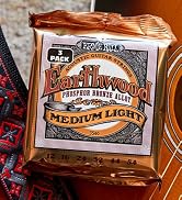 ernie ball acoustic