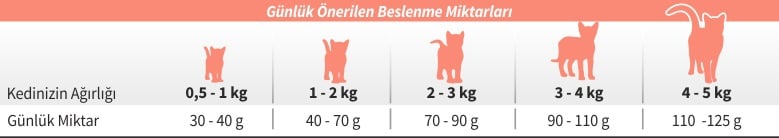 BESİN TABLOSU