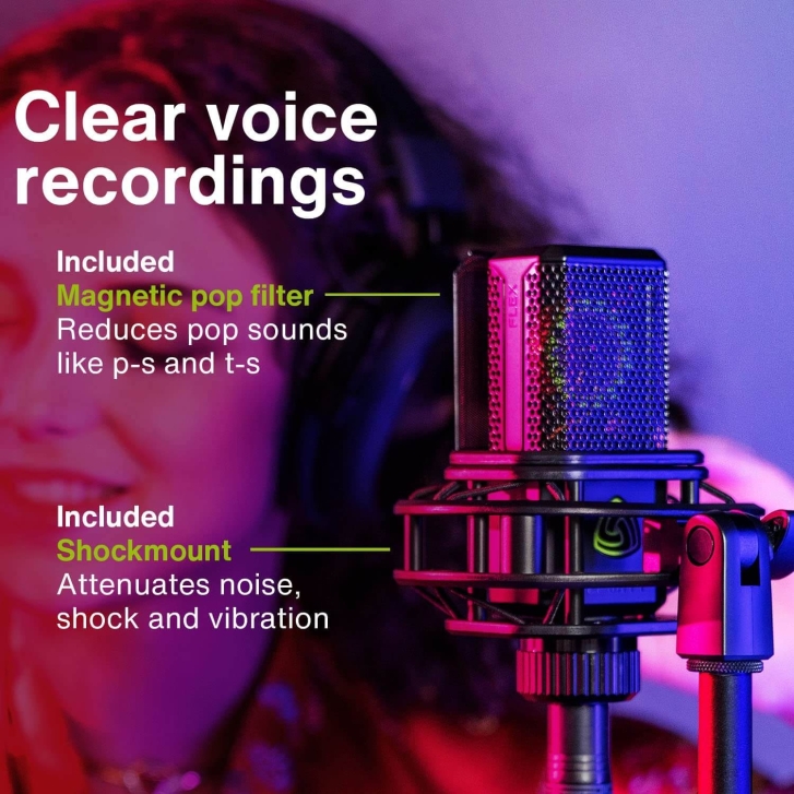 Lewitt LCT 441 FLEX Stüdyo Condenser Mikrofonu