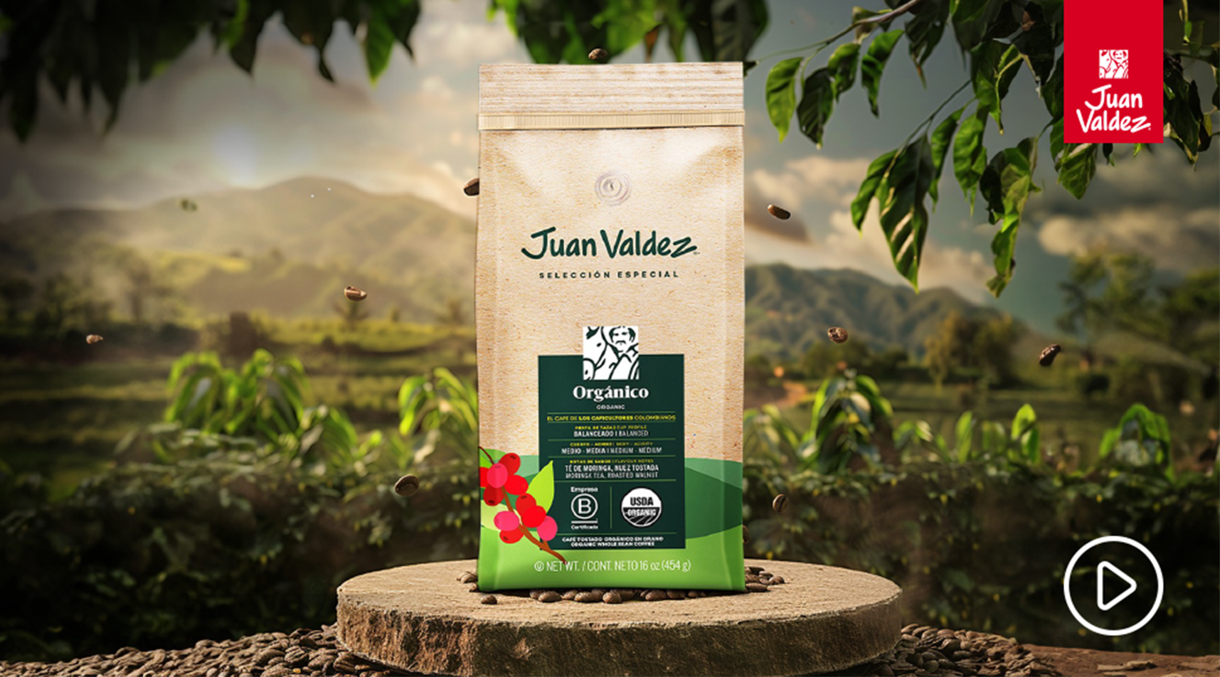 volcan