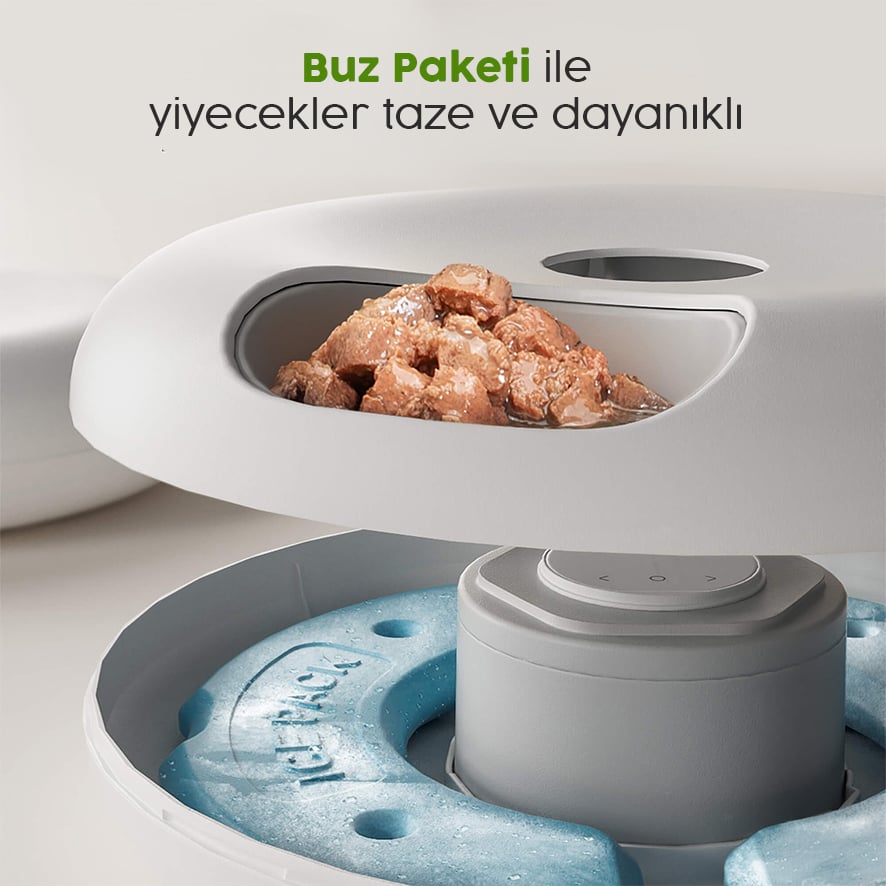 Tazeliğin Korunması