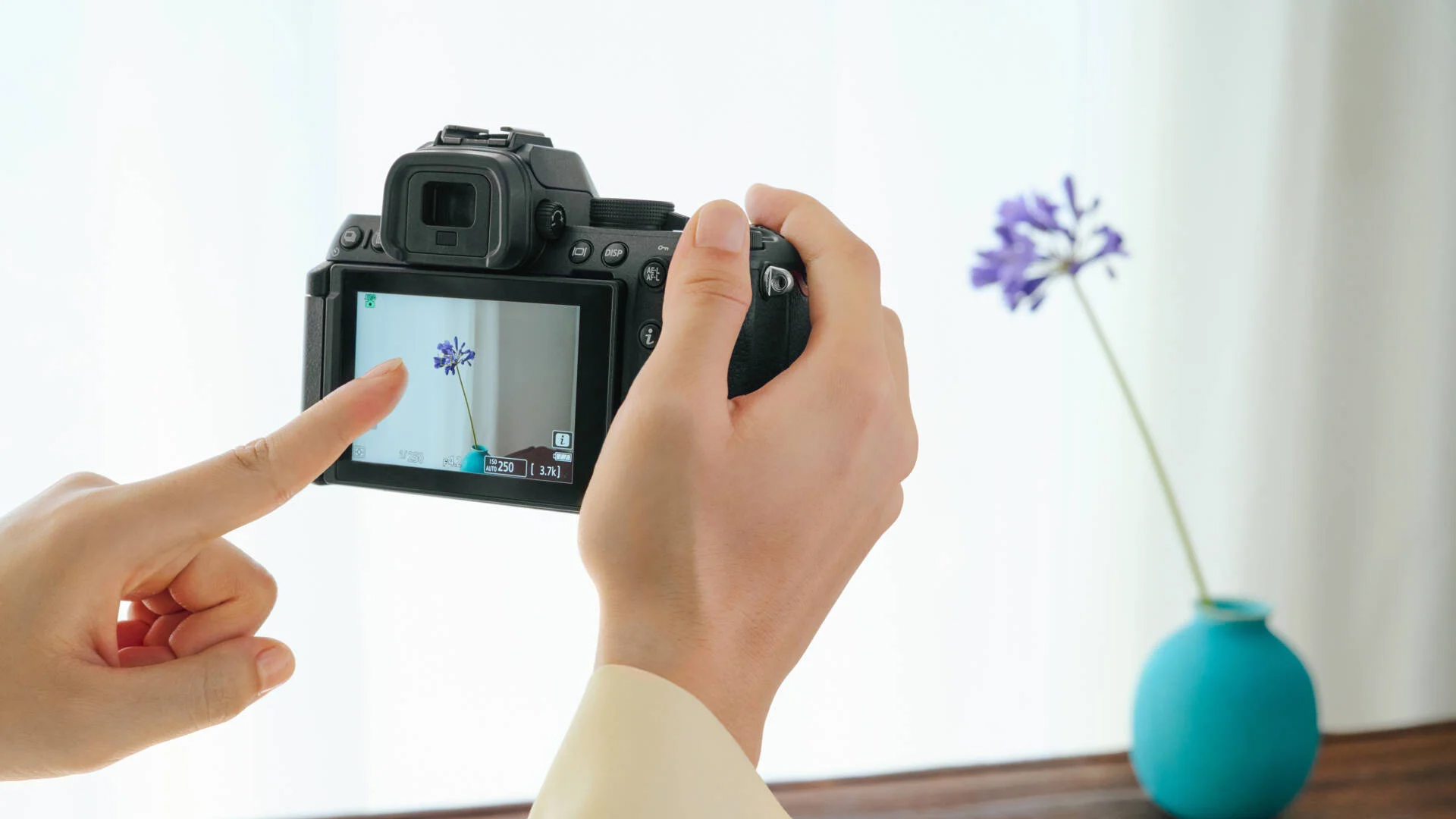 Z 6III