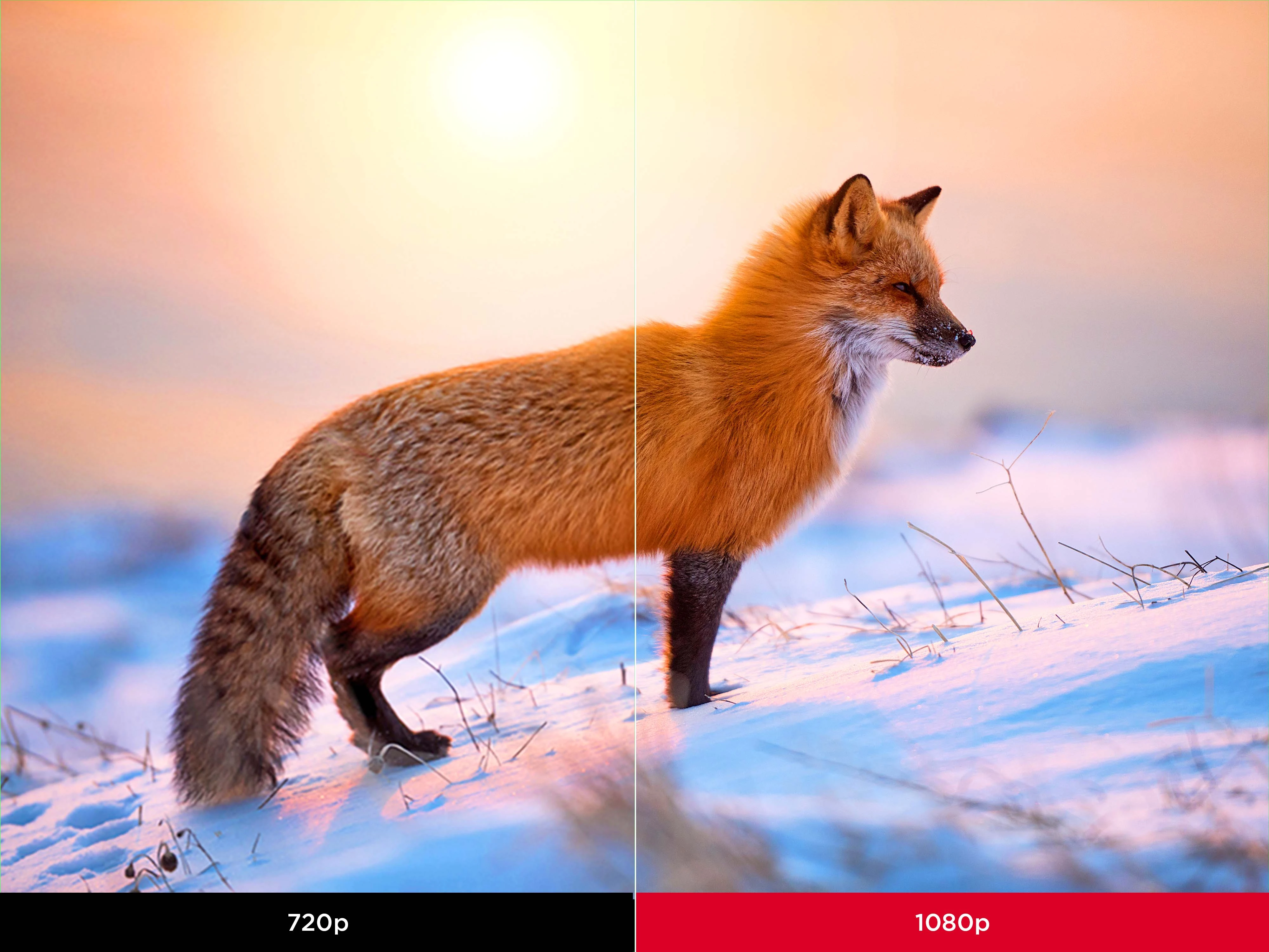 Immerse in Crystal Clear Visuals? 1