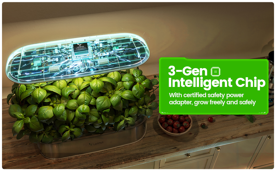 Hydroponics Growing System