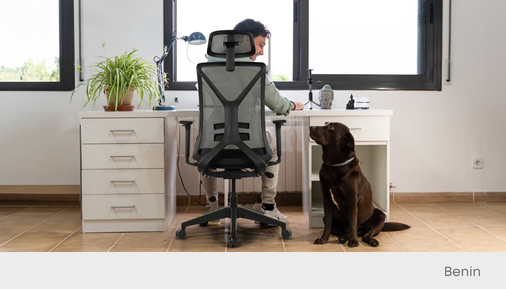 Benin Haraketli Kol Yönetici Koltuğu