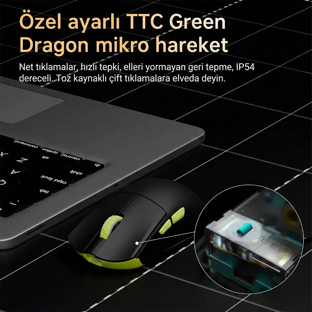 TTC QingLong Switches