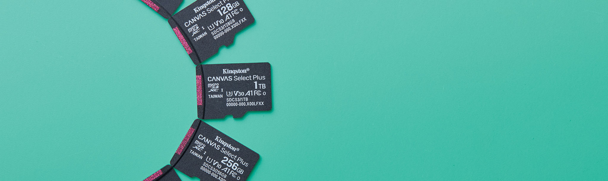 Yeşil bir yüzey üzerinde yarım daire şeklinde yerleştirilmiş birden fazla Canvas Select Plus microSD kart
