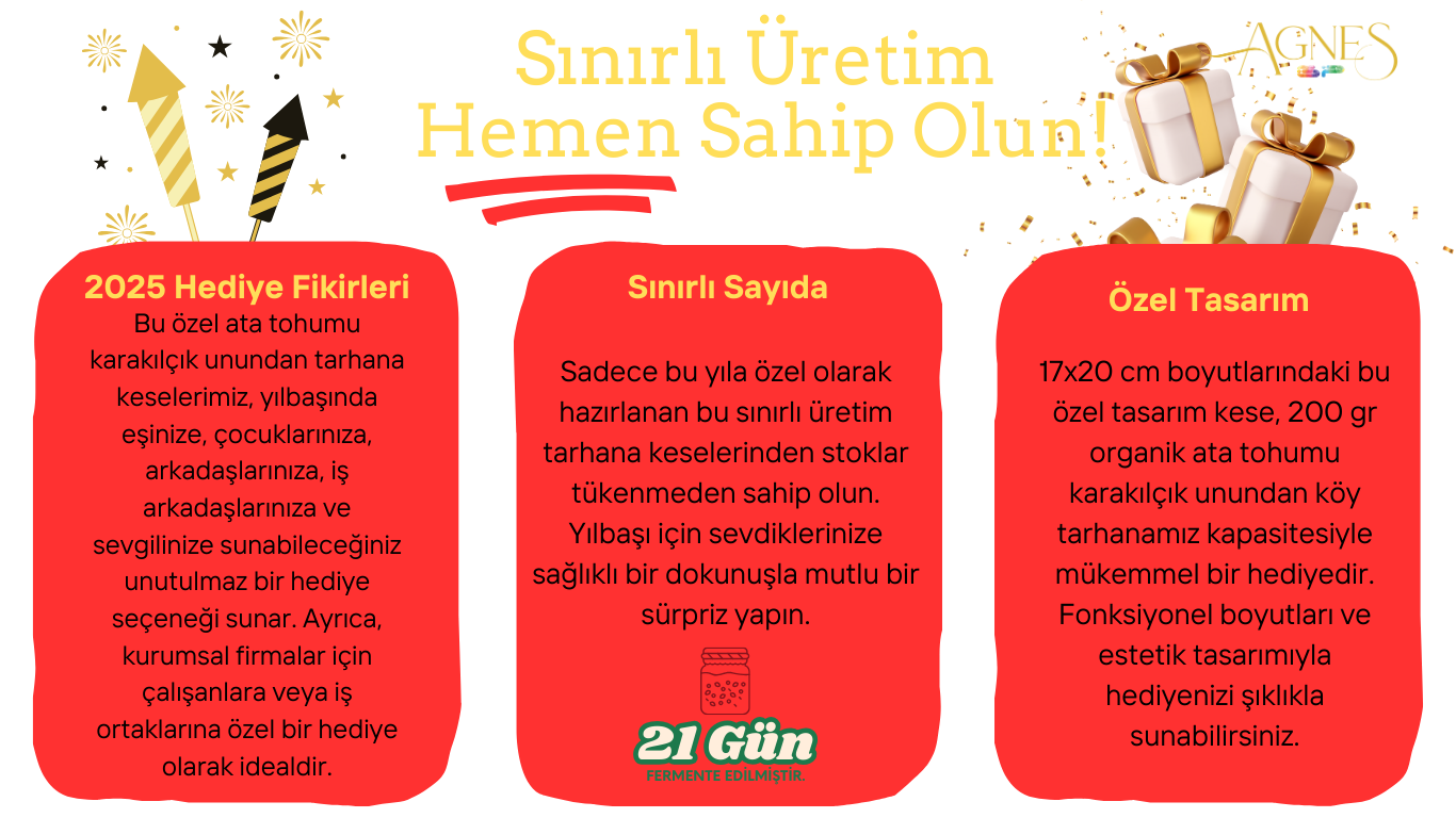 Köy Tarhana 6