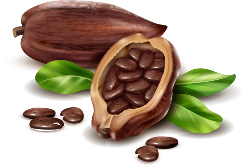 Drmomhand Afrika Kakao Yağı