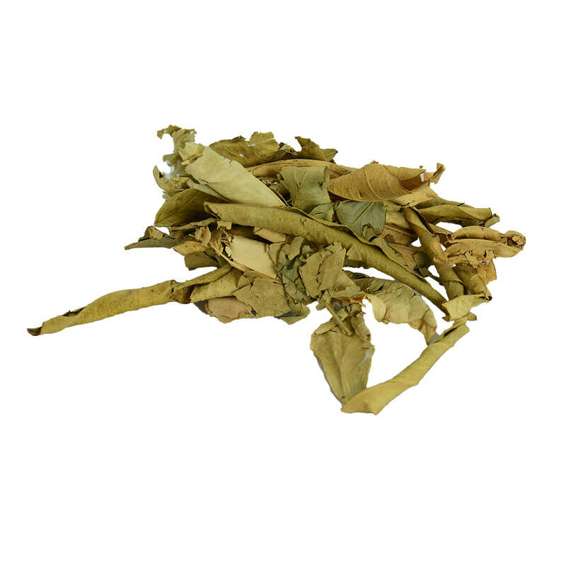 LOKMANAVM TURUNÇ YAPRAĞI DOĞAL