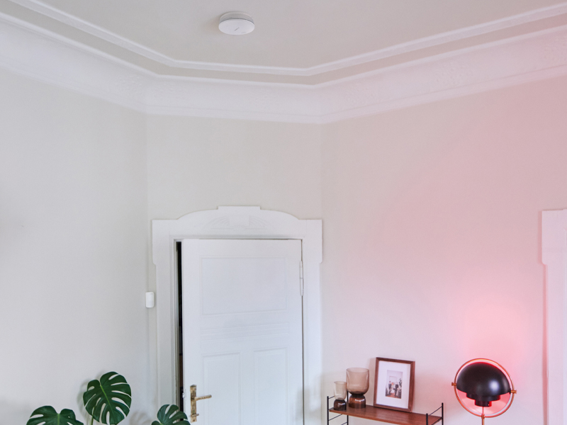 Duman Dedektörü II