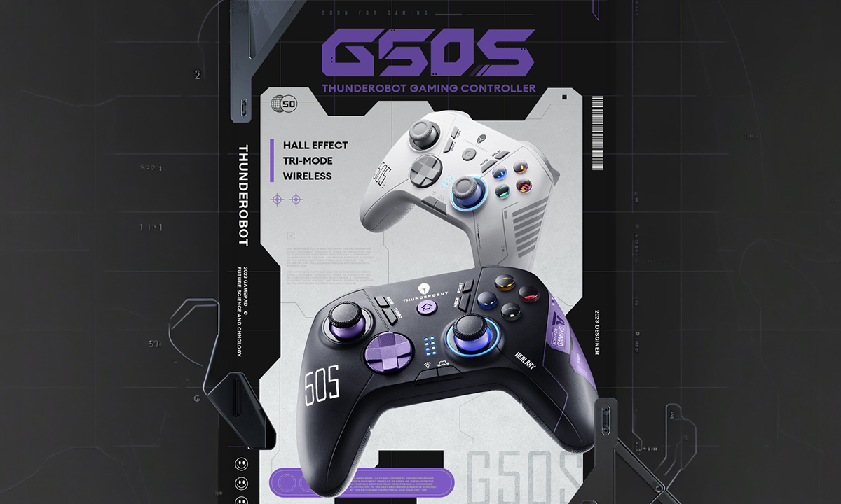 ThundeRobot G50S