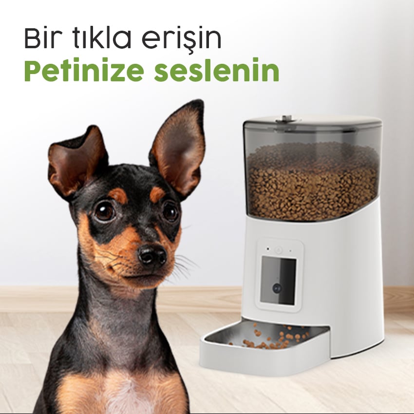 Siz Nerede Petiniz Orada!
