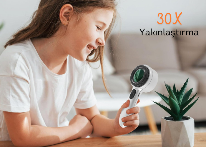 8690 ledli lup