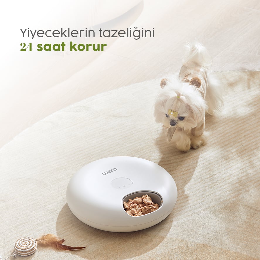 Zamanında ve Taze Mama