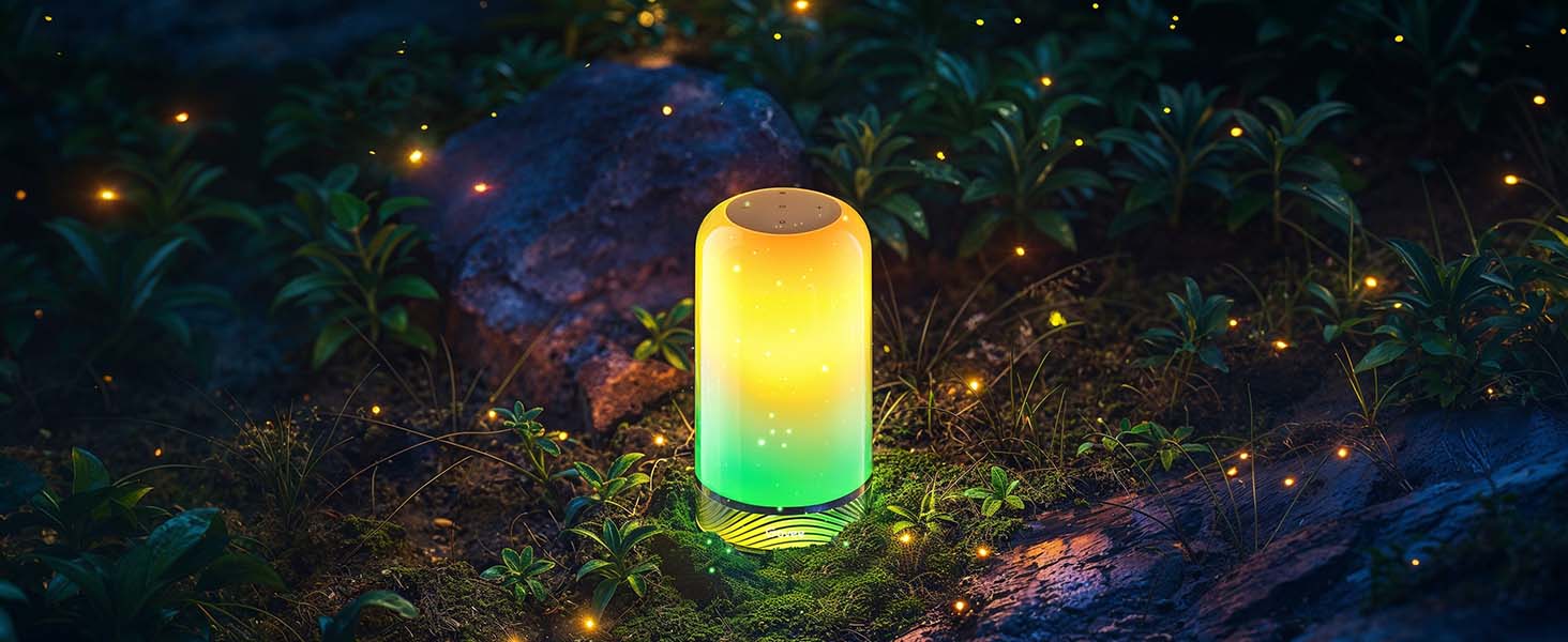 a garden light in the woods