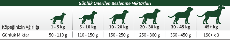 BESİN TABLOSU