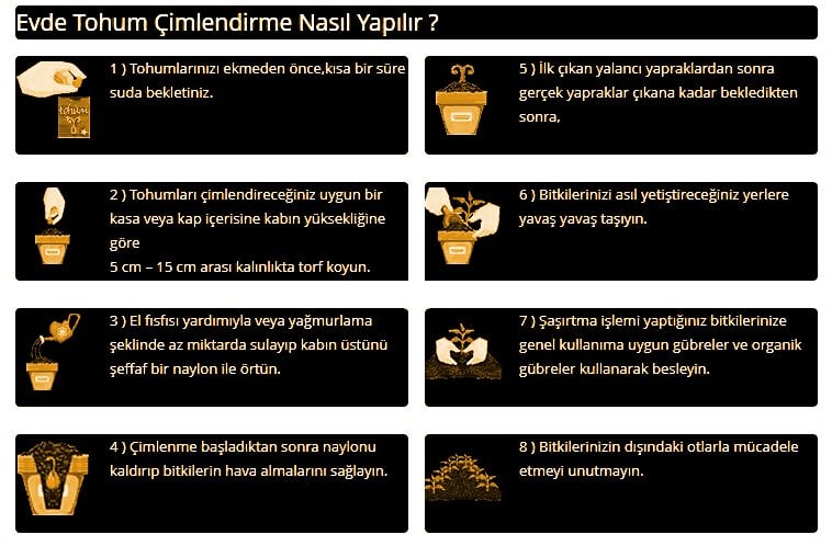 evde tohum nasıl çimlendirilir