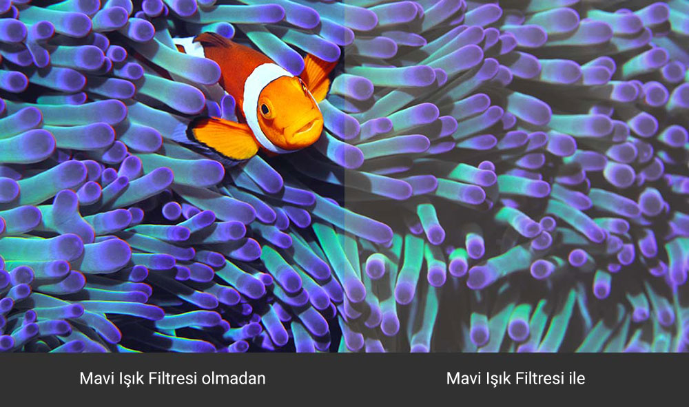 ASUS ProArt Display PA148CTV