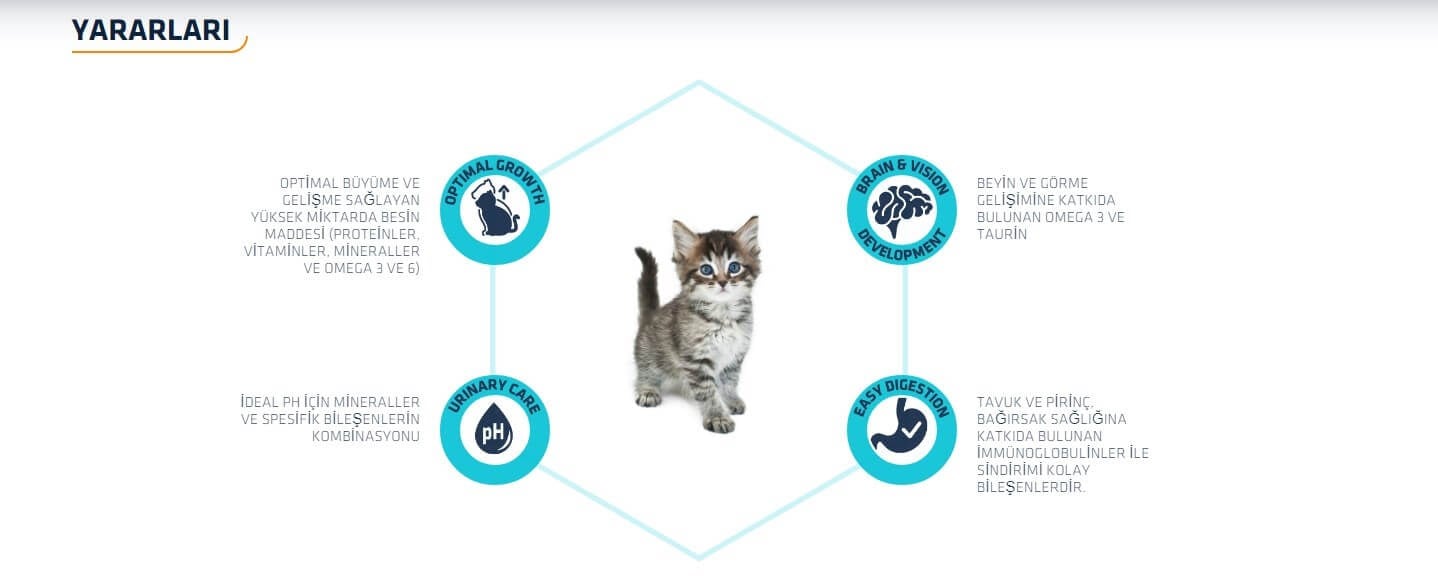 Advance Kitten Tavuklu Yavru Kedi Maması 