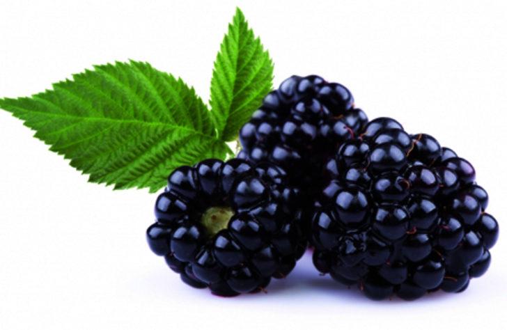  Böğürtlenin faydaları saymakla bitmiyor! Kansere karşı tüketin