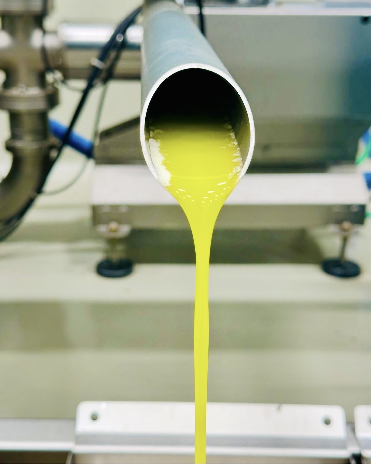 Oro di Milas Soğuk Sıkım İşlem