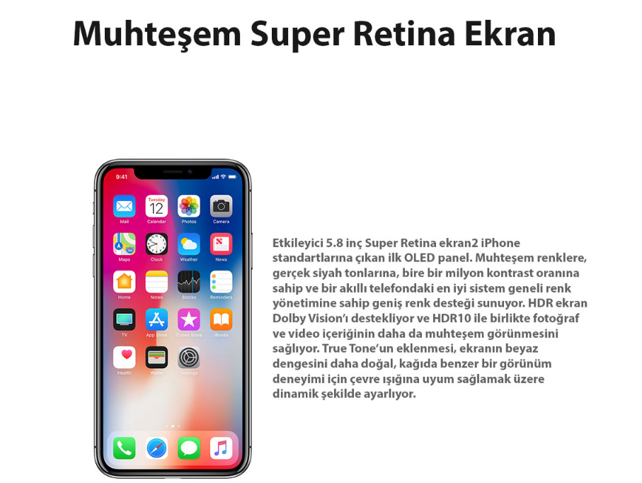 iPhone X