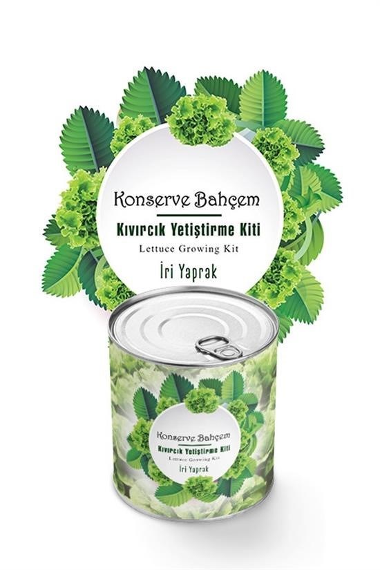Kıvırcık Yetiştirme Kiti Detay