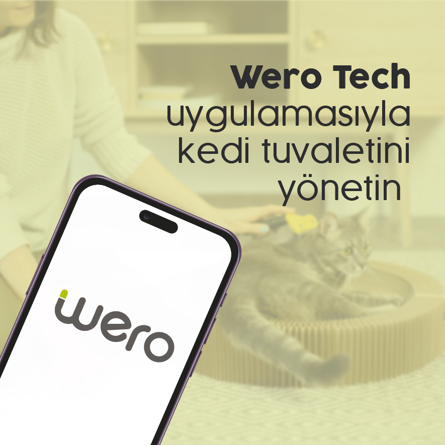 Uygulama ve Kamera Takibi