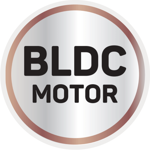 BLDC Motor
