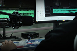 Topping E1x2: Zero-latency hardware monitoring system